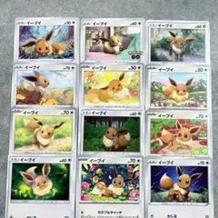 ポケモンカード イーブイ 12枚セット まとめ売り