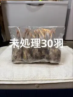 リピート購入、複数購入で＋10羽 送料無料 国産 新鮮安全 冷凍ひよこ