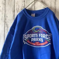 アメリカ古着ギルダン　スポーツフォースパークス トレーナースウェット　ブルーM