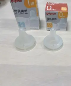 Item thumbnail for item 47b6a895-4036-4a45-9bd5-a5c3735ec92f