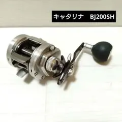 Avet Reels LX 両軸リール アベット MC-cast - メルカリ