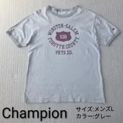 【Champion】チャンピオン 半袖 Tシャツ グレー 細ボーダー メンズM