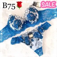 24時間以内発送❣️ロイヤルブルーB75/TバックM❤︎ロージー刺繍♥️エメフィール系