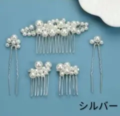 Item thumbnail for item ec4a16b8-2761-407e-8148-07843c5ffbc2