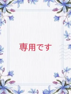 し様専用です　☆