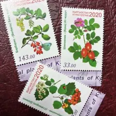 2026年最新】キルギスの切手の人気アイテム - メルカリ