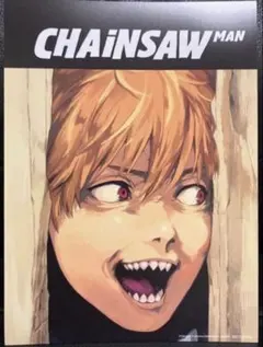 チェンソーマンBlu-ray MAPPA全巻購入特典 イラストカード デンジ