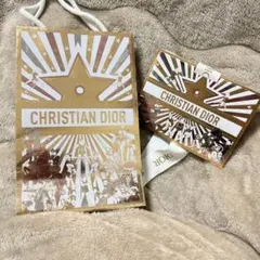 CHRISTIAN DIOR ショップ袋 2点セット