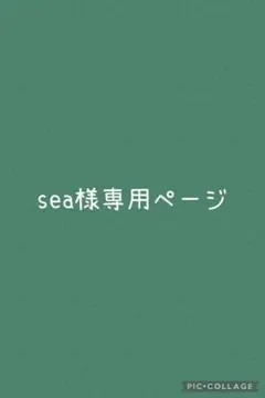 sea様専用ページ
