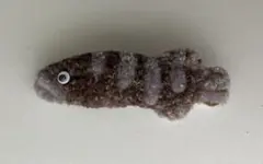 ハンドメイド毛糸ブローチ✴︎クエ