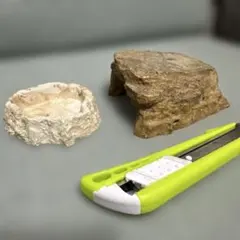 파충류 보호소 뱀 도마뱀 은신처 수족관 곤충 보호소 사슴 벌레