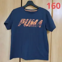 PUMA Tシャツ 160 ネイビー dryCELL 吸汗速乾のサムネイル