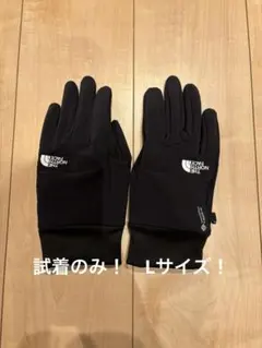 THE NORTH FACE ゴアテックス　グローブ　Lサイズ