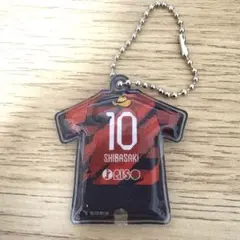 Item thumbnail for item 883077d2-8e86-4109-aff1-54e7e1ee350d