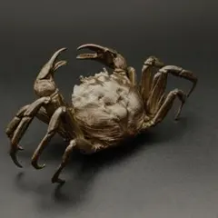 2026年最新】銅 蟹の人気アイテム - メルカリ