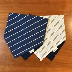 Item thumbnail for item 6c8c3d9e-fca4-4961-a864-caddf1a36b1b