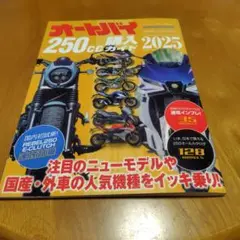 オートバイ 250ccガイド 2025