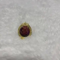 ぽむ様専用