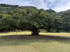 honeyxxx123様 リクエスト 2点 まとめ商品