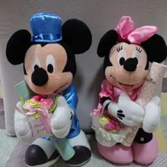 ミッキー&ミニーぬいぐるみセット