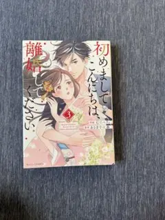 初めましてこんにちは、離婚してください 3