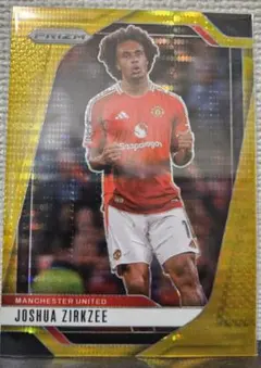 JOSHUA ZIRKZEE 10シリ