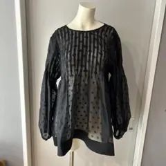 TORRAZZO DONNA シアーブラウス ドット プリーツ