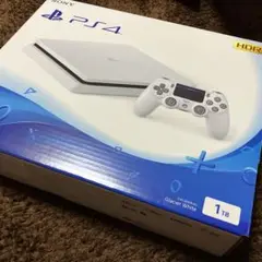 PlayStation4 - 新品未使用 SONY PlayStation4 本体 CUH-2200BB02 Sony PS4 PlayStation 4 Glacier White 500GB CUH-2200AB02