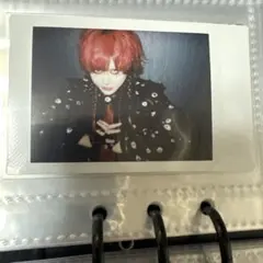 ザアザア 春さん チェキ 252枚 ザアザア 春さん チェキ 252枚 ザアザア 春芽 過去チェキ - メルカリ