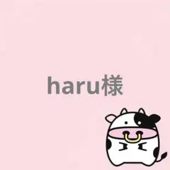 haru様 リクエスト 2点 まとめ商品