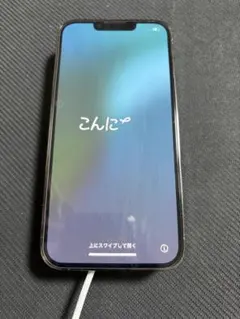 Apple iPhone 13 Pro グラファイト 256GB （ジャンク）