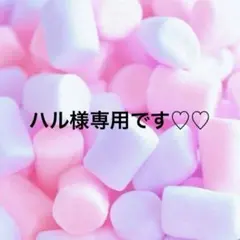 ハル様専用❤︎アイシードール カスタム❤︎