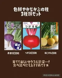 ふうちゃん様 リクエスト 2点 まとめ商品