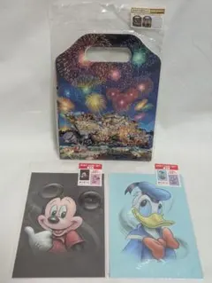 ディズニーストア　小分け袋セット　ポストカードセット