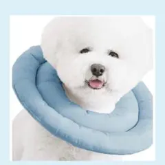 Item thumbnail for item 33ff1726-7f2c-470e-869a-84ecee9a7eca