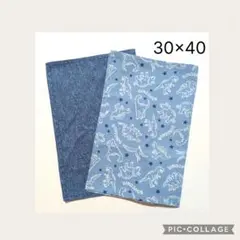 ​【2枚セット】恐竜シルエット＆デニム風 ランチョンマット （ブルー）