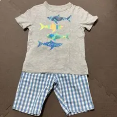 男の子　120cm Tシャツ・ズボン　２点セット