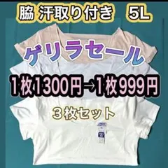 ニッセン 冷感 ドライ 汗取り 脇汗パット インナー 半袖 5L 3枚 脇 汗のサムネイル