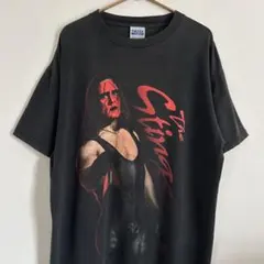 90s WCW nWo スティング Tシャツ L 赤ペイント TULTEX - メルカリ