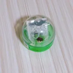 なにわ男子 VoyAGE ドーム めじるしチャーム 大橋和也