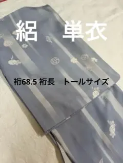 トールサイズ 夏小紋 絽縮緬 単衣 いしき宛付 裄68 ブルーグレー矢鱈縞