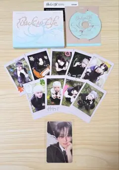 &TEAM BacktoLife PhotocardBox mini フウマ