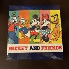 Item thumbnail for item e8826f20-c4bb-489f-a87b-7ee6be40efc6