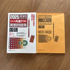 2025 大学入試 共通テスト 国語 問題集