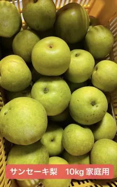 長野県産信州 サンセーキ梨 家庭用 10kg 長野県産信州 サンセーキ梨 家庭用 10kg - メルカリ