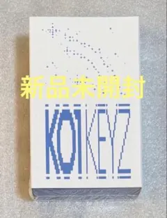 【新品未開封】KO1KEYZ KEYRING