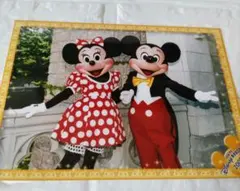 ディズニー スペシャルフォト