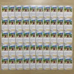 No.3121 セレナ　50枚セット　まとめ売り