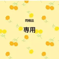 専用　おまとめ同梱品