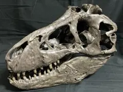 DINOWORLD】ティラノサウルス 頭骨 化石 ジュラシックパーク - メルカリ